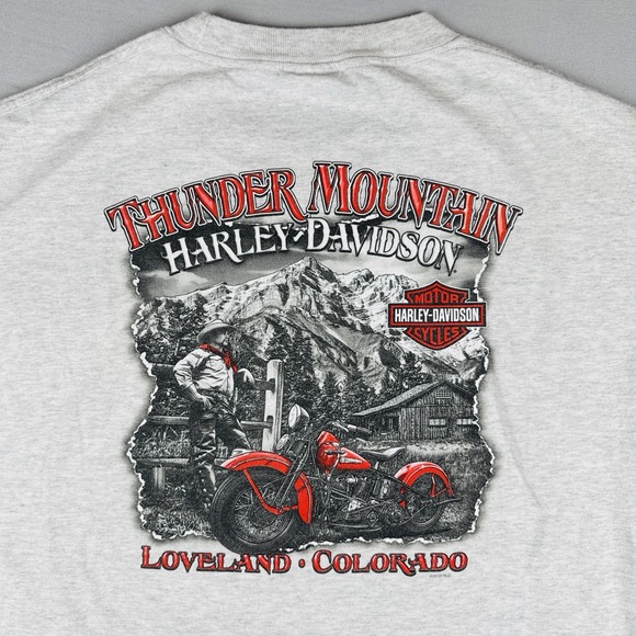 Harley-Davidson Other - Harley Davidson Thunder Mountain T Shirt Loveland Colorado Pocket Logo L